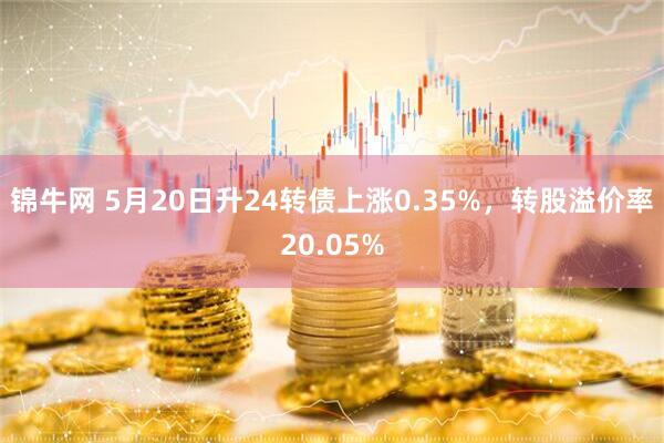 锦牛网 5月20日升24转债上涨0.35%，转股溢价率20.05%
