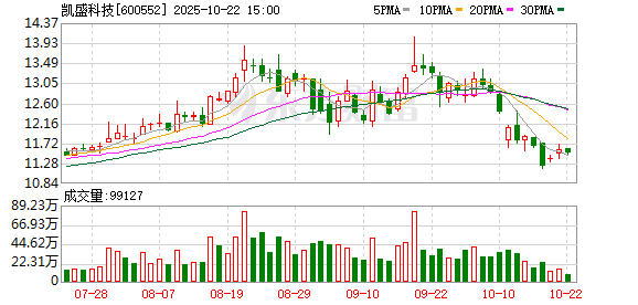 万宝配资 凯盛科技调整2024年股票期权行权价格至12.08元/股